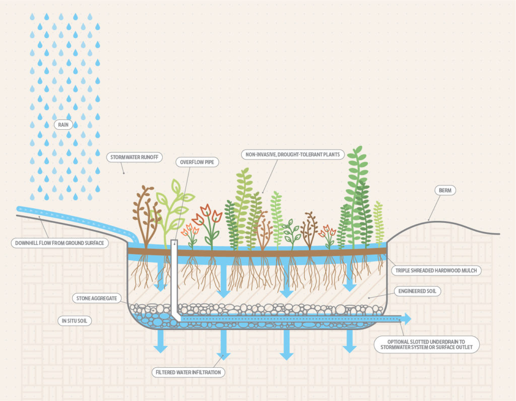 Bioretention illustration