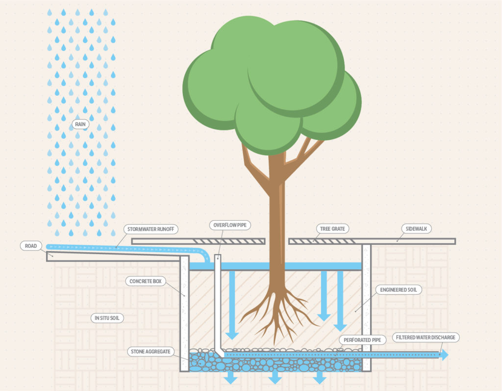Tree box filter illustration